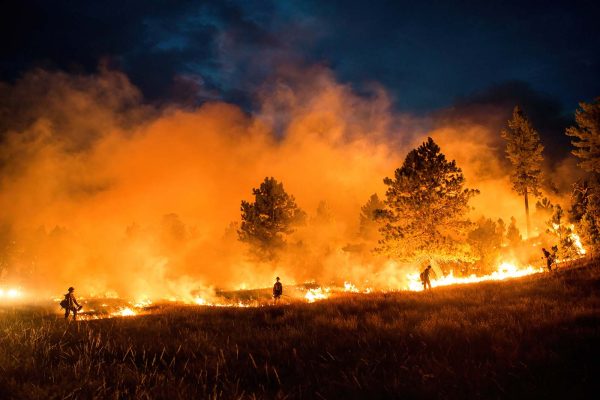 Lighters on Rankin. Fire on the Mountain: Photographs of Wildland Firefighting by Kyle Miller. Three firefighters with backdrop of flames, smoke, trees, and dark sky.